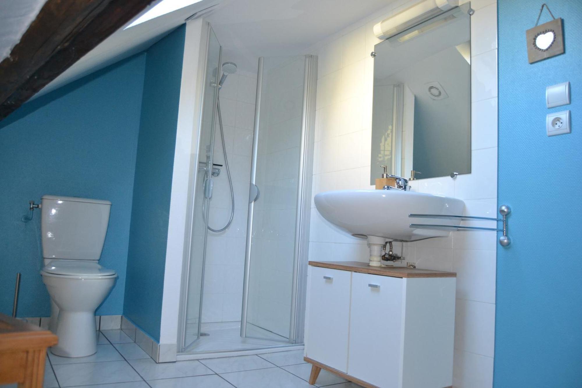 "Chalet Marie Louise" Logement 3 Etoiles Dans Une Maison De Ville A 400M Du Centre Ville Aix-les-Bains Extérieur photo